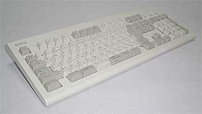 DELL MODEL SK-D100M