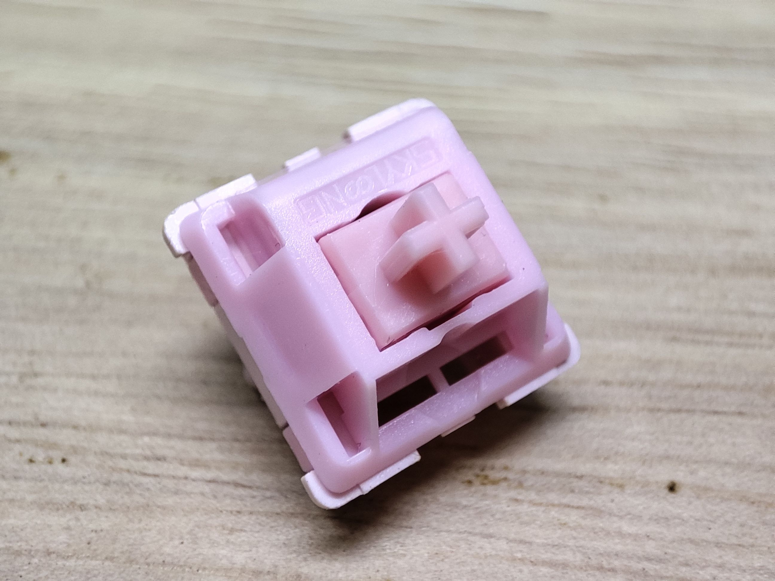 小呆虫不知名粉轴