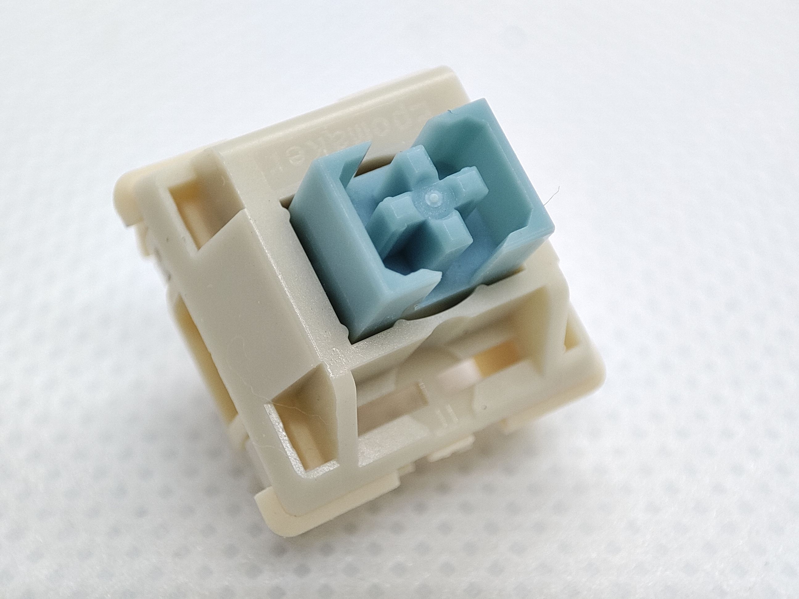 虎皮鹦鹉轴