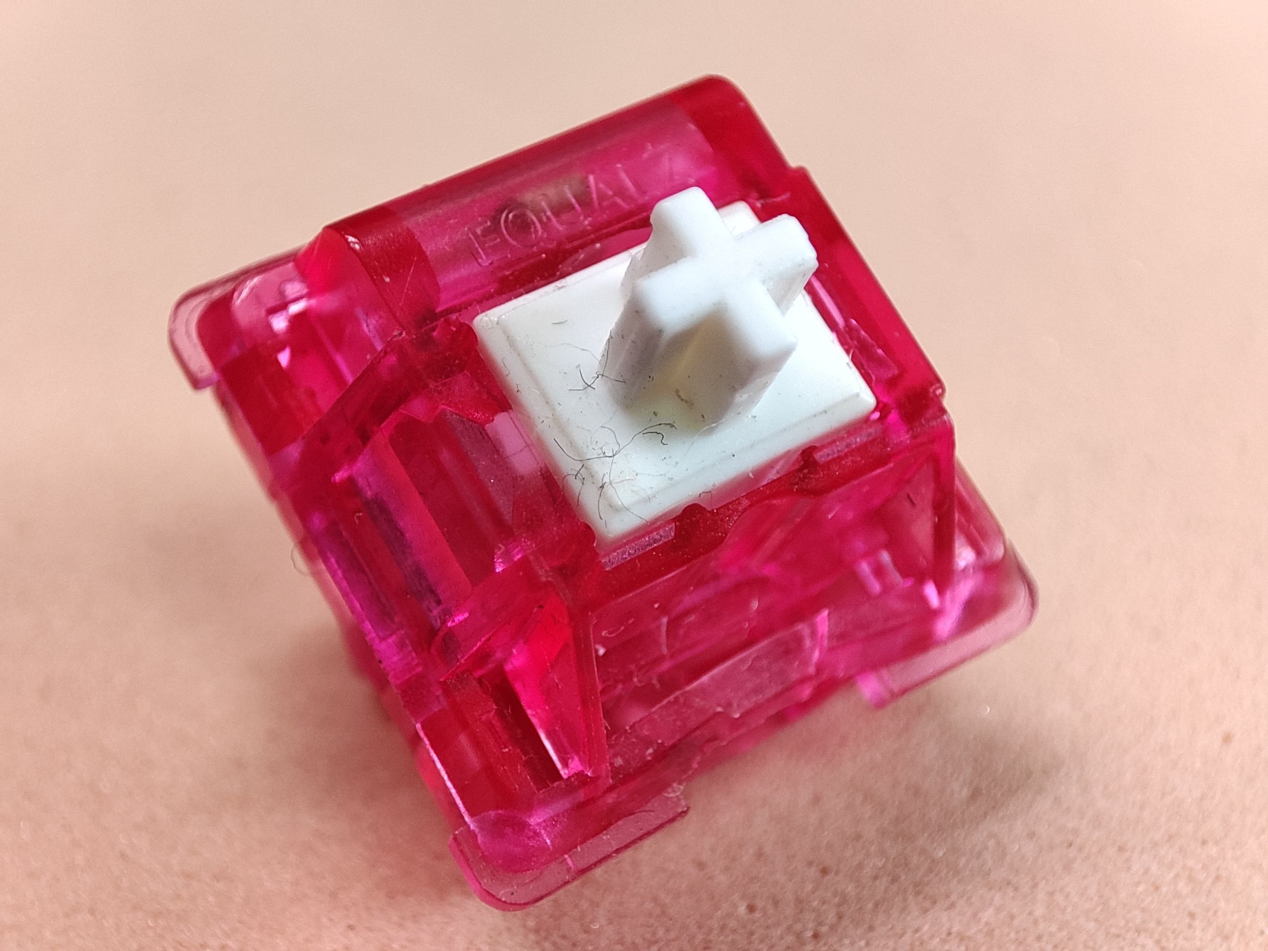 耳朵火龙果轴
